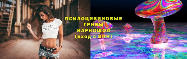 винт Алексин