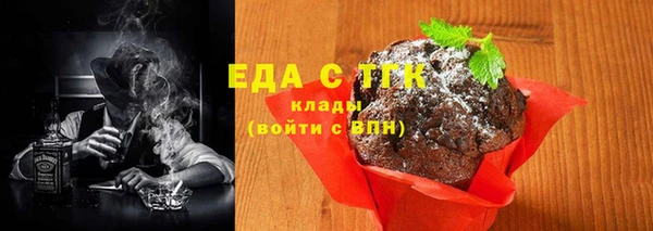 тгк Инсар