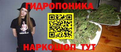 трава Сланцы