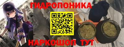 трава Сланцы