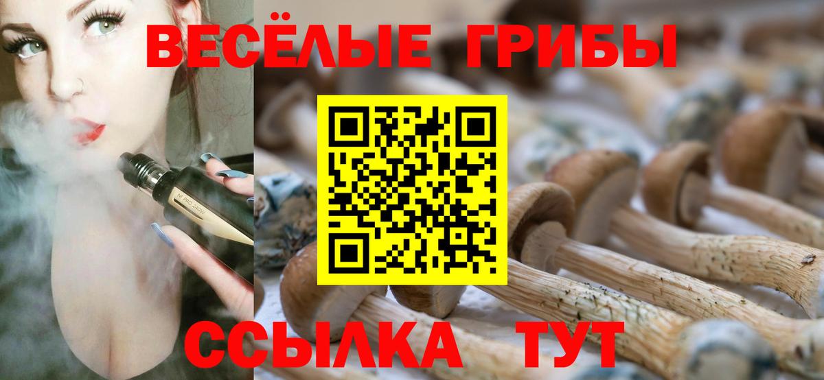Галлюциногенные грибы Psilocybe  Вход с VPN  Скопин  Псилоцибиновые грибы Psilocybine cubensis 